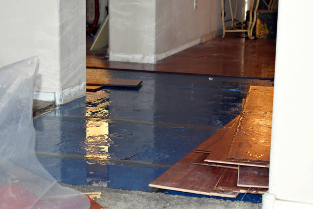 Professional Burst Pipe Cleanup technician working in Ponder, TX
